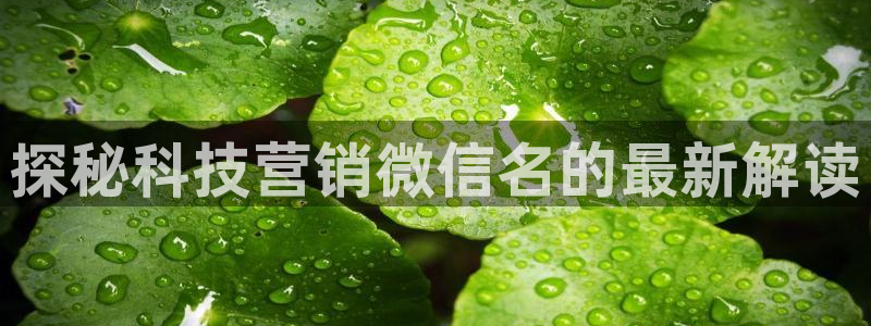 金年会体育平台官网下载