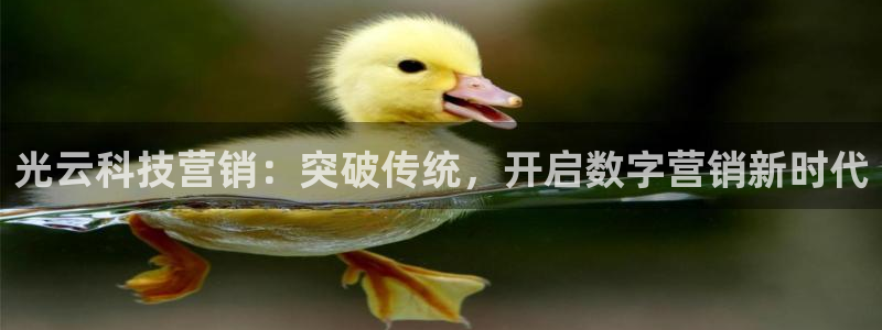 金年会官方入口app