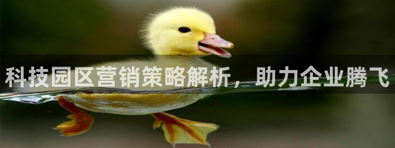 金年会信誉至上是什么意思