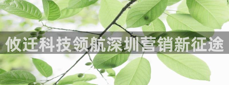 金年会电子游泳app