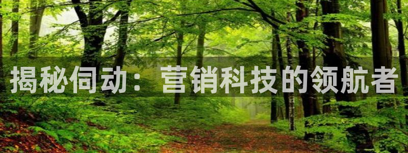 金年会诚信至上