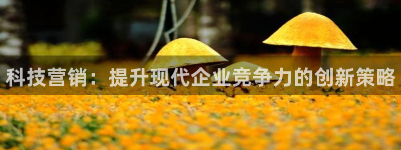 金年会网页版在线登录官网下载