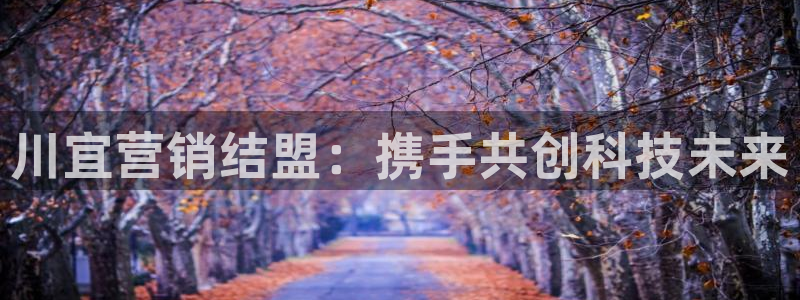 金年会网址导航在线播放