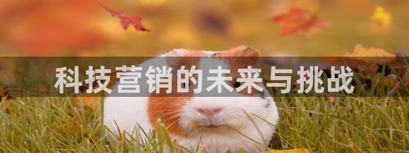 金年会体育有限公司
