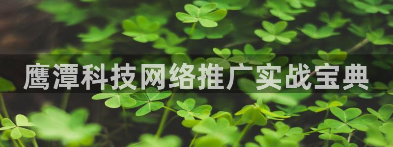 金年会app官网
