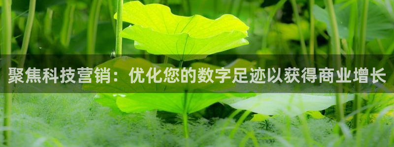 金年会体育一直输