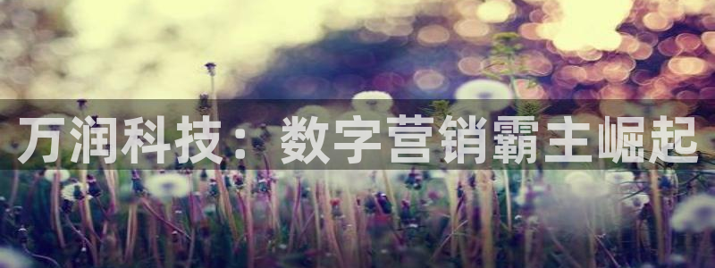 金年会体育官网