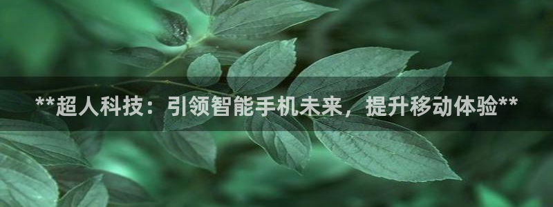 金年会VIP