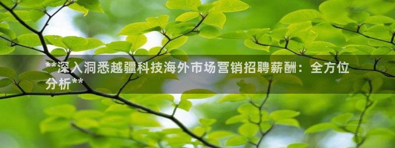 金年会下载软件