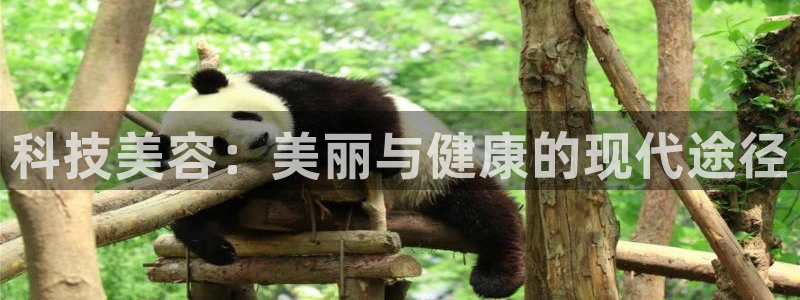 金年会下载官网app
