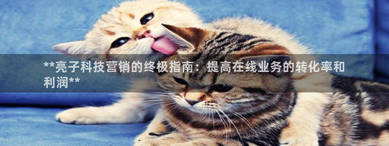 金年会体育app