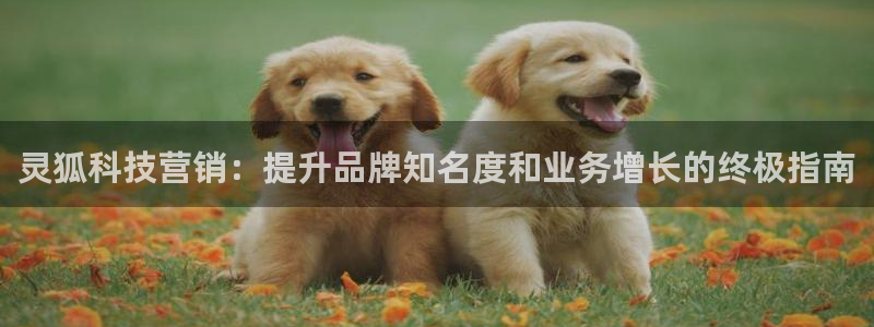 金年会官方入口首页