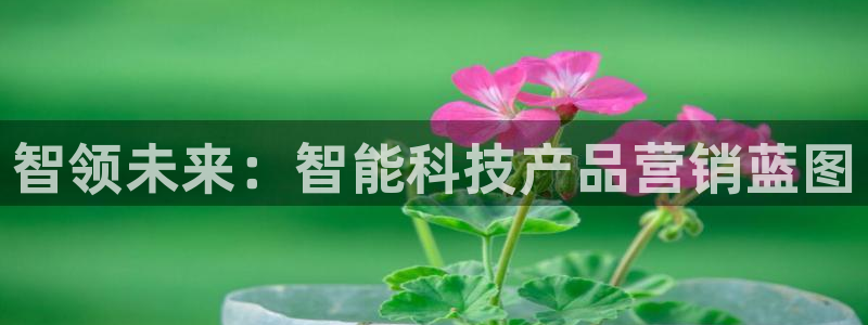 金年会官方登录网址