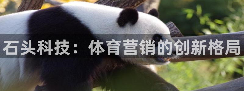 金年会体育app官网入口网址