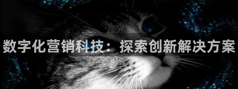 金年会体育买球