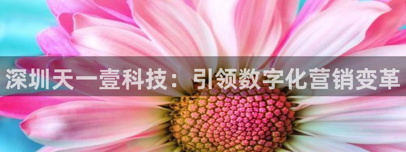 金年会体育网页登录