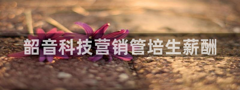 金年会体育平台官网下载