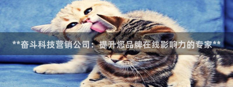 金年会 金字招牌诚信至上在线