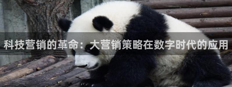 金年会官方网站入口登录网址是什么