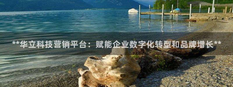 金年会体育一直输