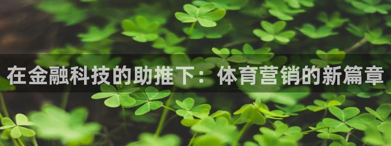 金年会平台官网下载