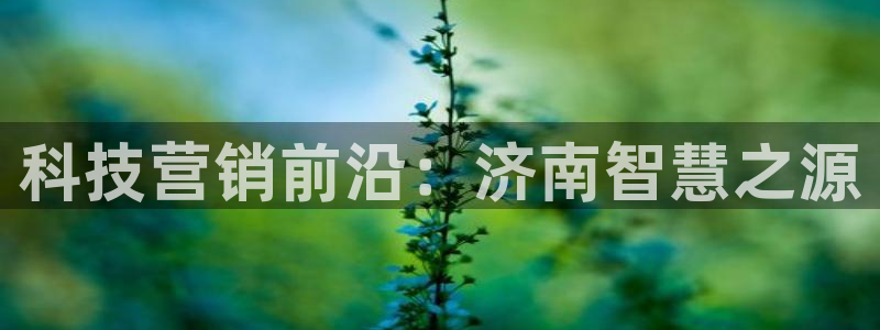 金年会App官方下载