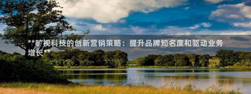 金年会网站拒绝出款怎么解决?
