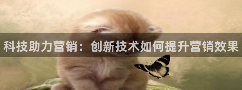 金年会体育APP官方下载