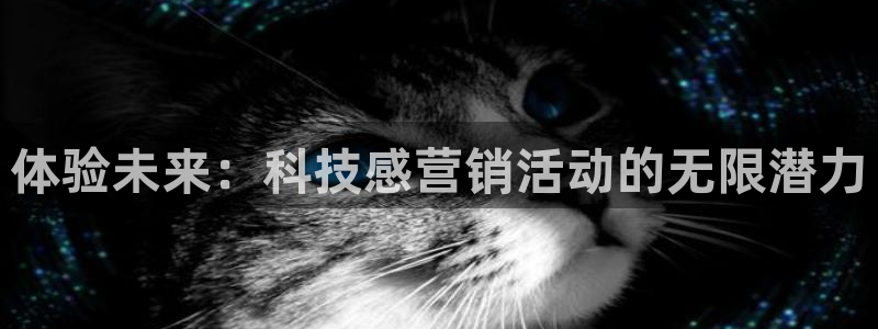 金年会体育app下载官网安卓手机