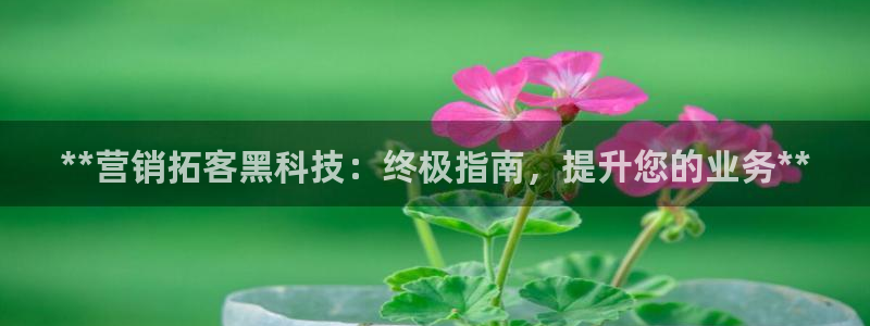 金年会网登录平台入口